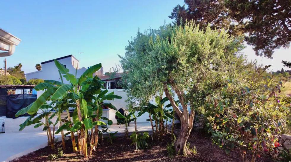 Villa Mare Blue Sr Nuovissima Villa 150M Dal Mare Adatta A Bambini Terrauzza Εξωτερικό φωτογραφία